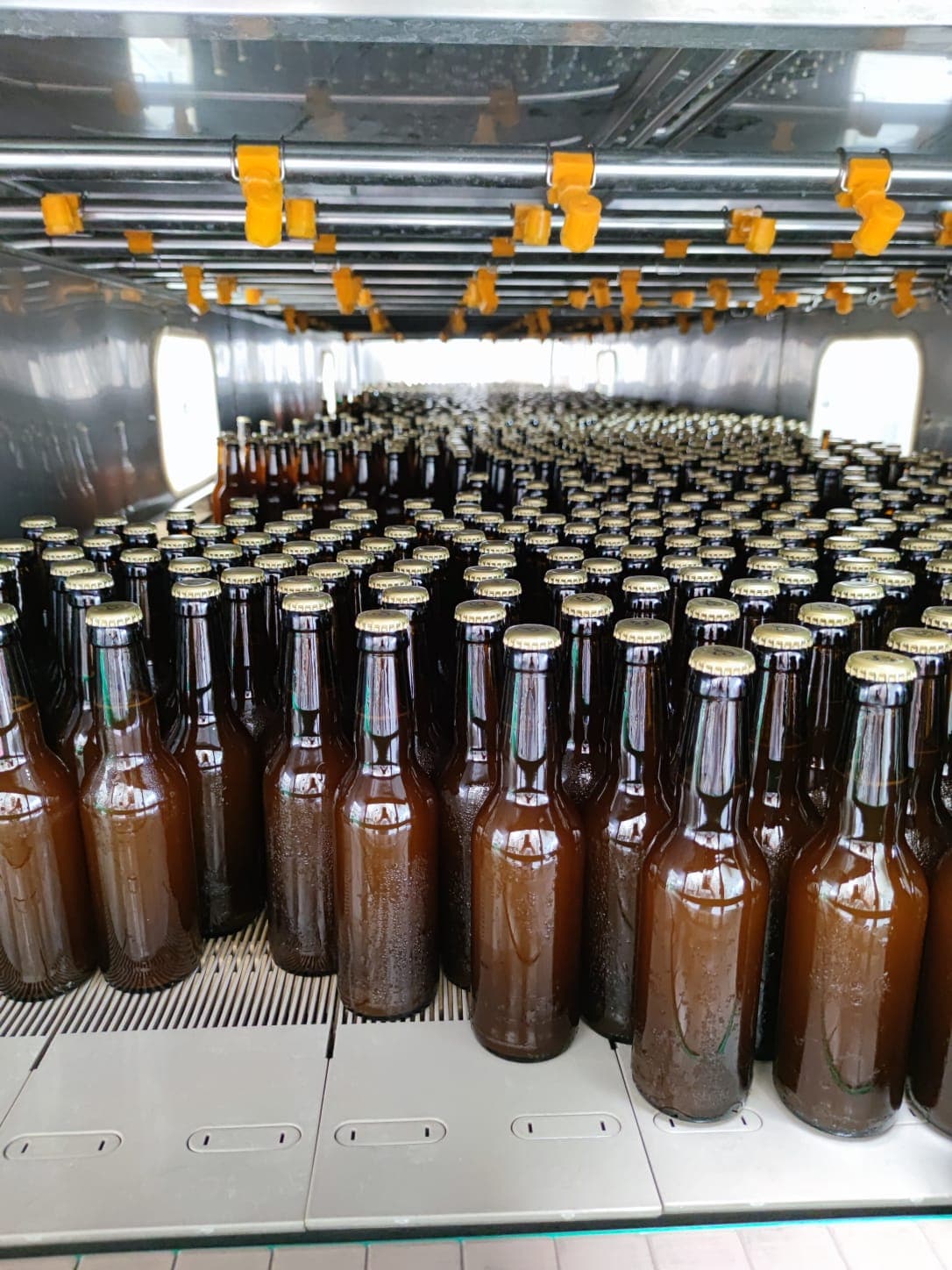 Image of the product
